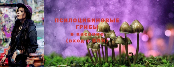 молекула духа Нязепетровск