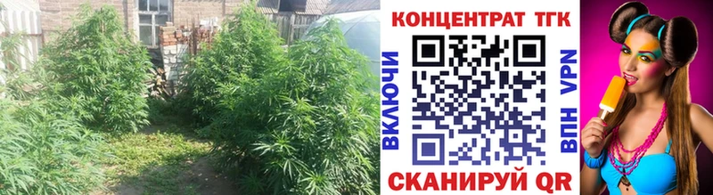 Дистиллят ТГК концентрат  Медынь 
