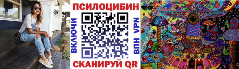 магазин продажи наркотиков  Медынь  Галлюциногенные грибы Cubensis 